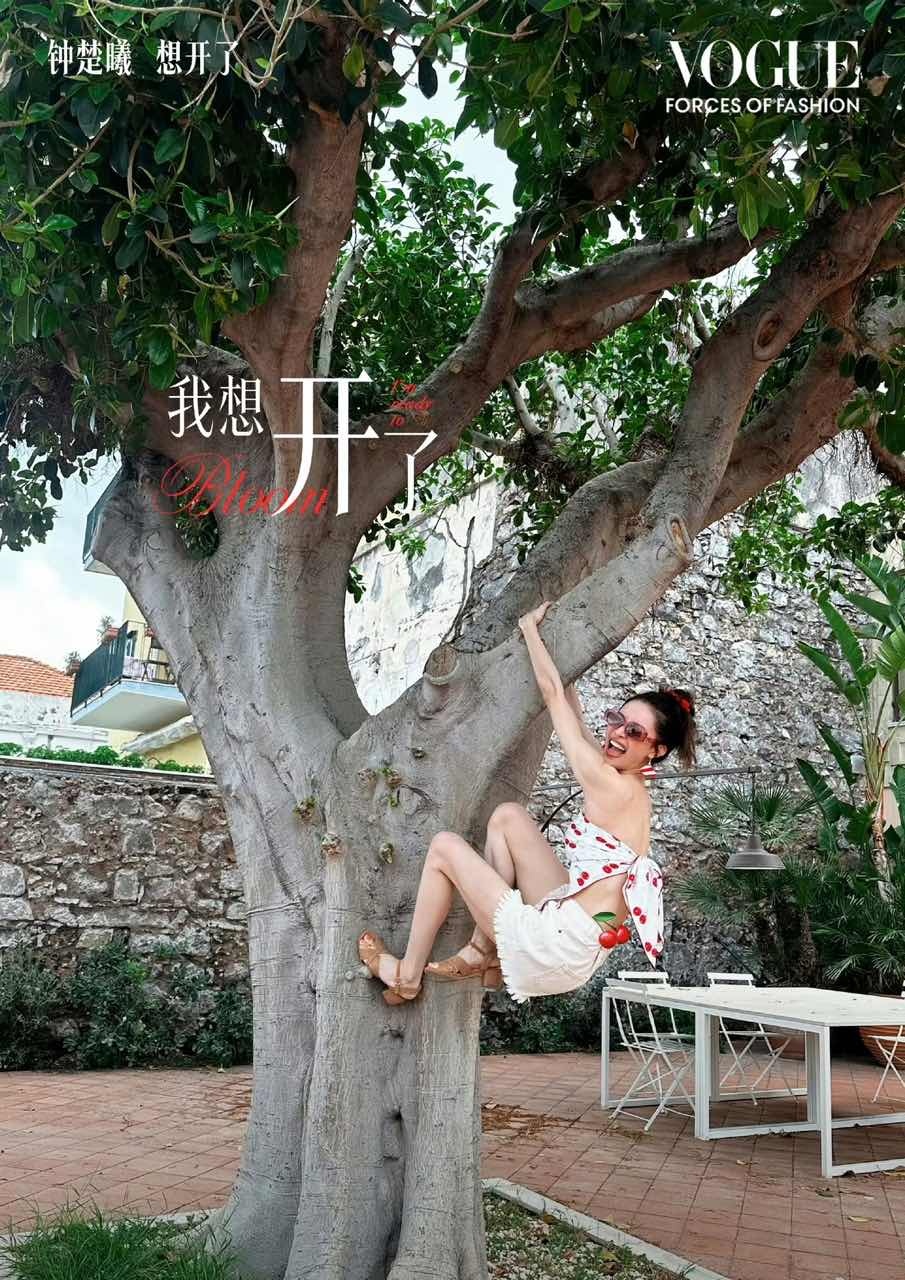 娱乐[超话]钟楚曦上树钟楚曦爬树 钟楚曦上树，期待红毯 ​​​