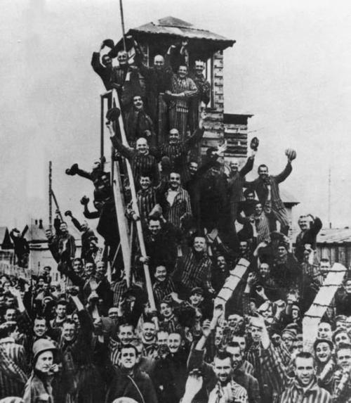 1945年4月29日，美军在德国达豪发现一列被抛弃的火车，车内散发着一阵阵刺鼻的