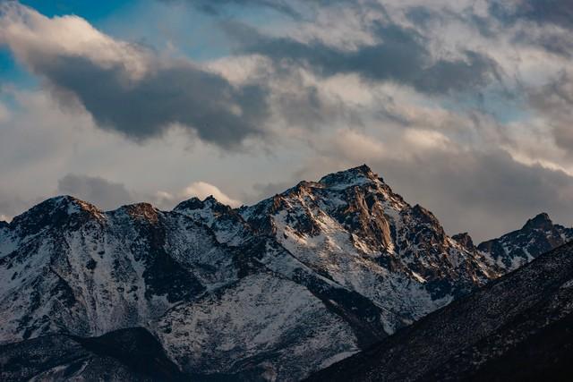 49岁男人深夜坦白刷爆全网：中年心动不是荷尔蒙作祟，而是身体里长出的“舍不得”