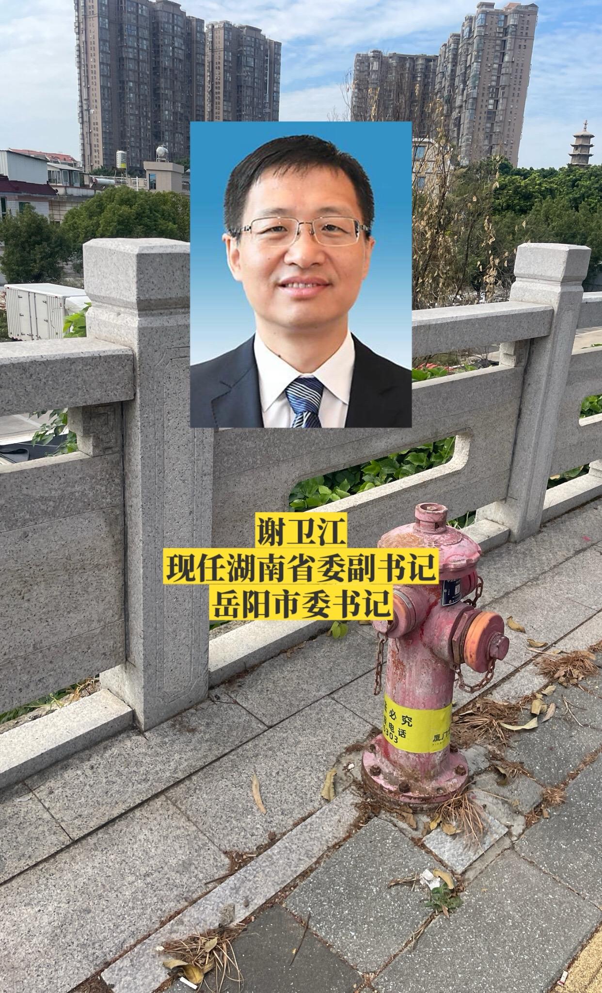 湖南岳阳市委领导。