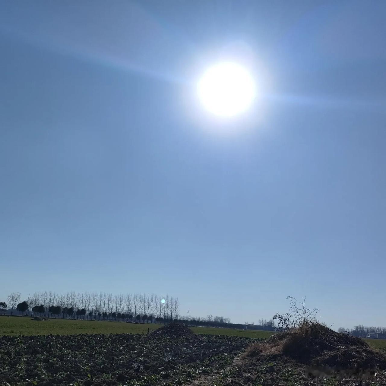 漫步田野，只剩年，这一生似乎就是在时间里消磨情感，有爱的人就是幸福，无爱的人就是