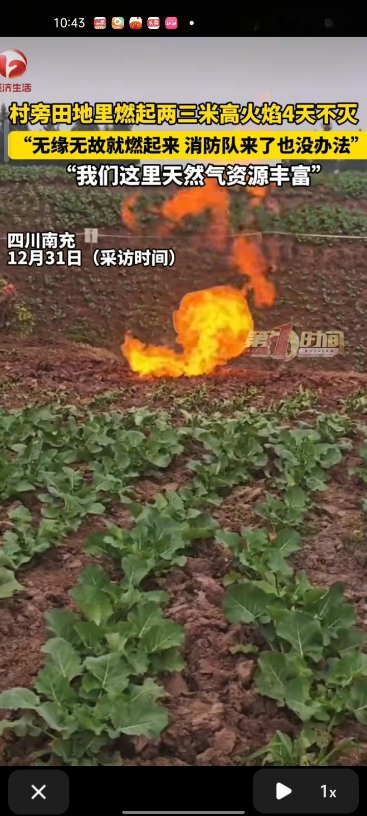 12月29日，南充市蓬安县。网友晒视频称，田地里燃起两三米高的火焰，连续四天不灭