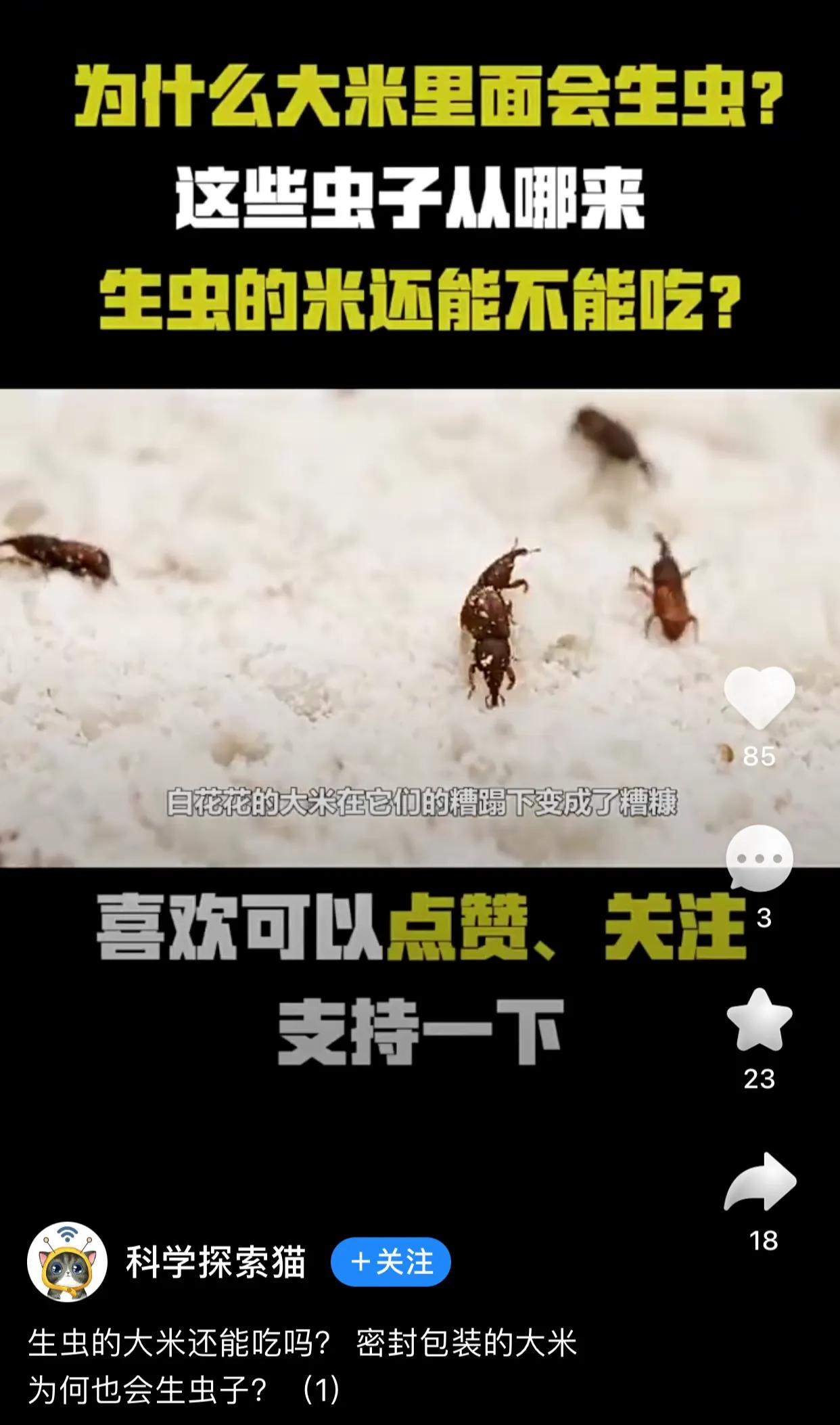刚刚看了一个视频，才终于明白大米为什么会生虫了。以前一直以为，大米生虫，是因为放
