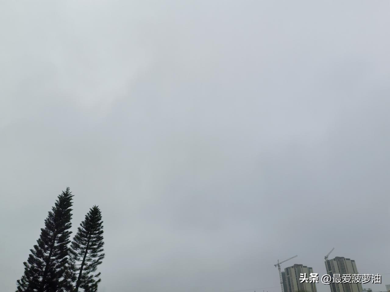 广东将逐步被暖湿气流“接管”，叠加太阳辐射，本周部分地区最高气温将冲破30°℃！