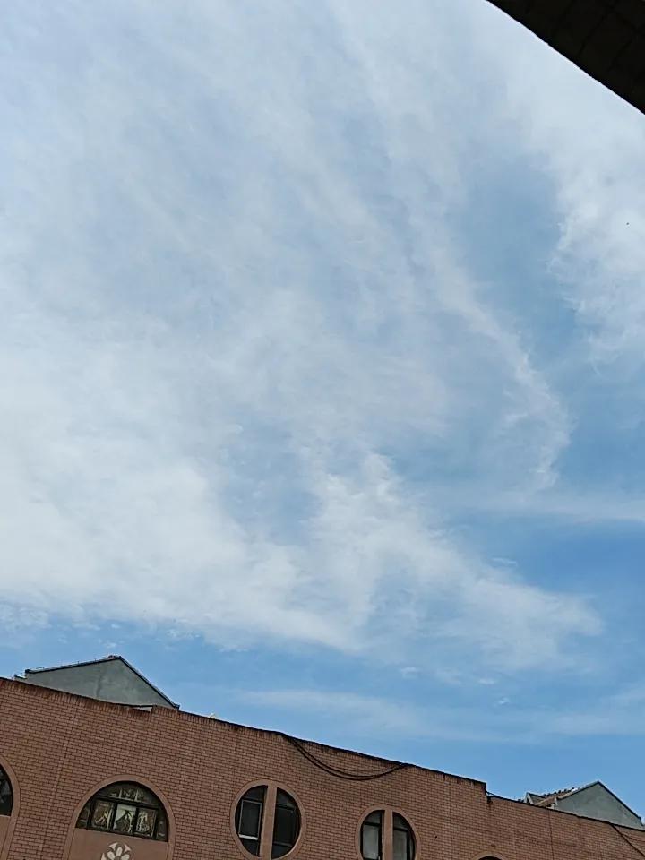 可以分享一张你拍的天空美照吗刚下完雨，碧空如洗，阳光刚好，那么明媚，温度舒适[笑
