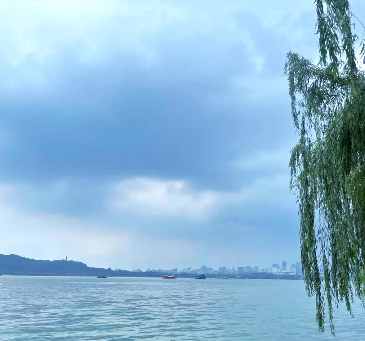 秋日生活打卡季苏堤湖畔柳树垂，随风摇曳，湖水起清波，好一幅风光旖旎的自然画卷。晒