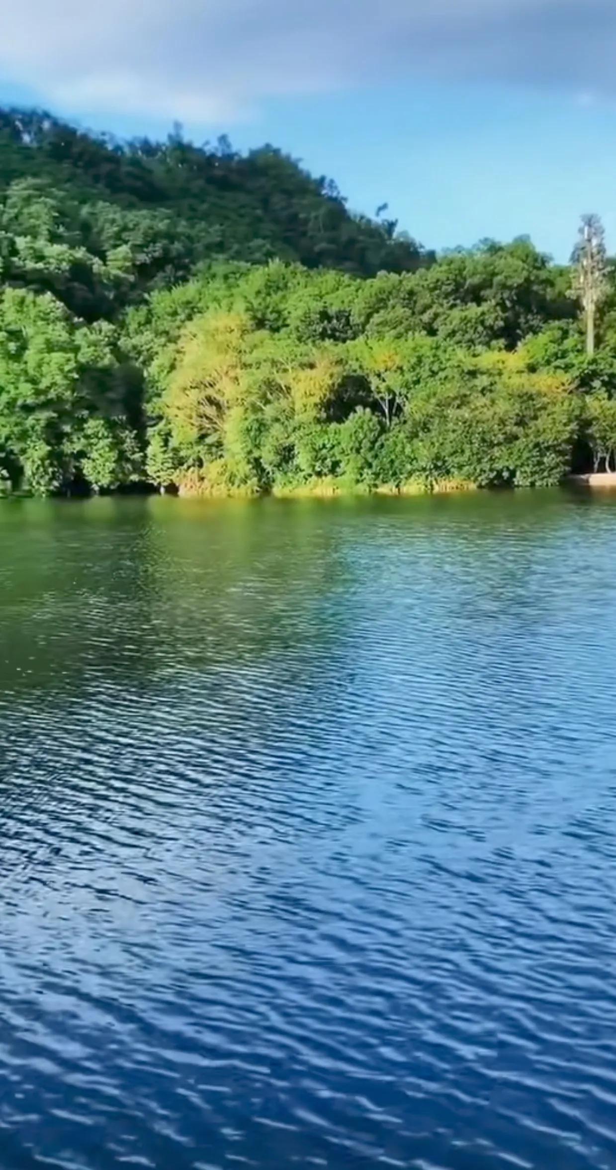 湖泊如镜，倒映山色；山林葱郁，鸟语花香。此景令人陶醉，仿佛置身梦幻仙境，心灵得到