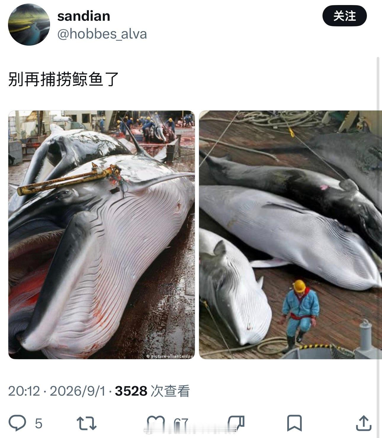 那能一样嘛……[吃瓜][吃瓜][吃瓜]海外新鲜事热点现场 ​​​