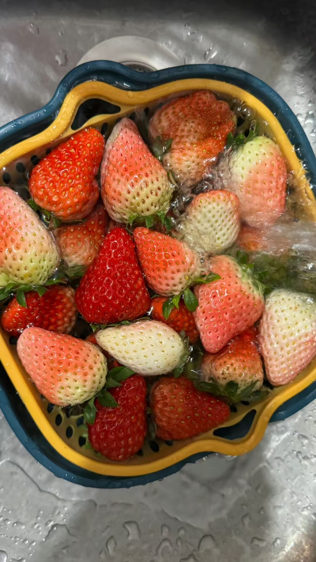 普通的日子，也值得用心记录和珍惜。 