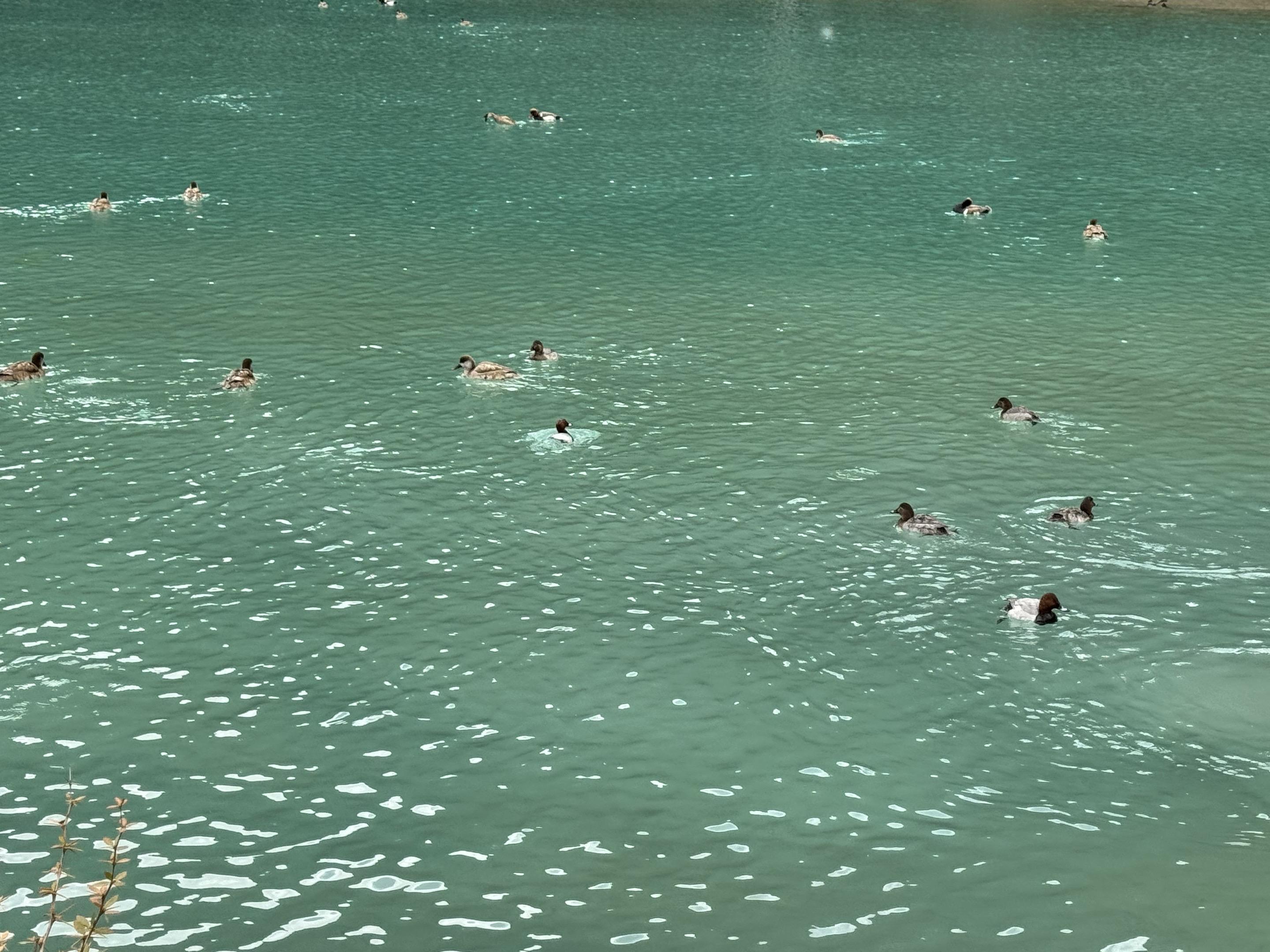 谣言是一种社交货币 我没有办法阻止别人把它当作筹码来进行“社交”，所以...