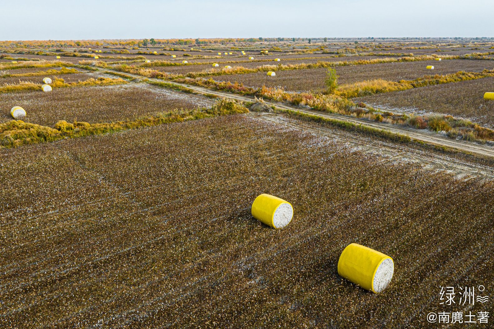 打包的籽棉 新疆｜巴州#大美新疆#  