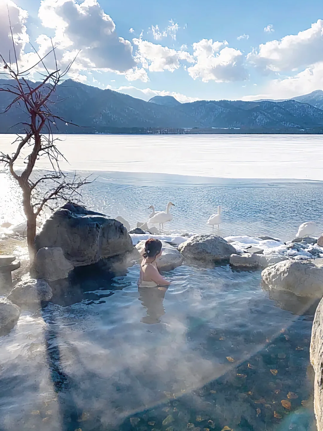 日本北海道旅行🦢和天鹅一起泡汤的绝景温泉