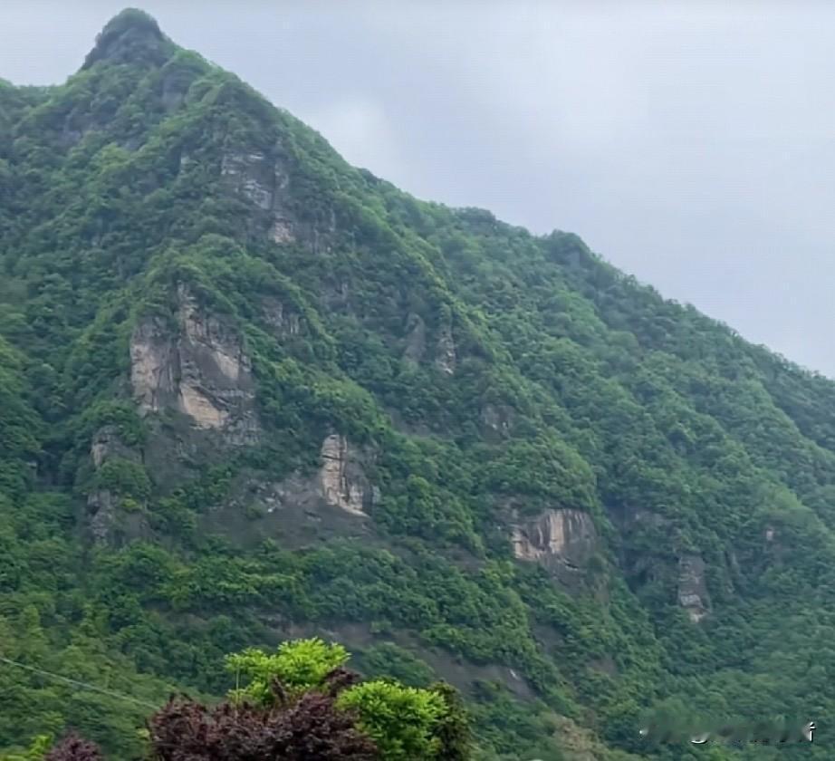 聋子说炮不响，瞎子说灯不亮，瘸子说炮也响灯也亮只是路不平。有人喜欢吃辣椒是因为辣