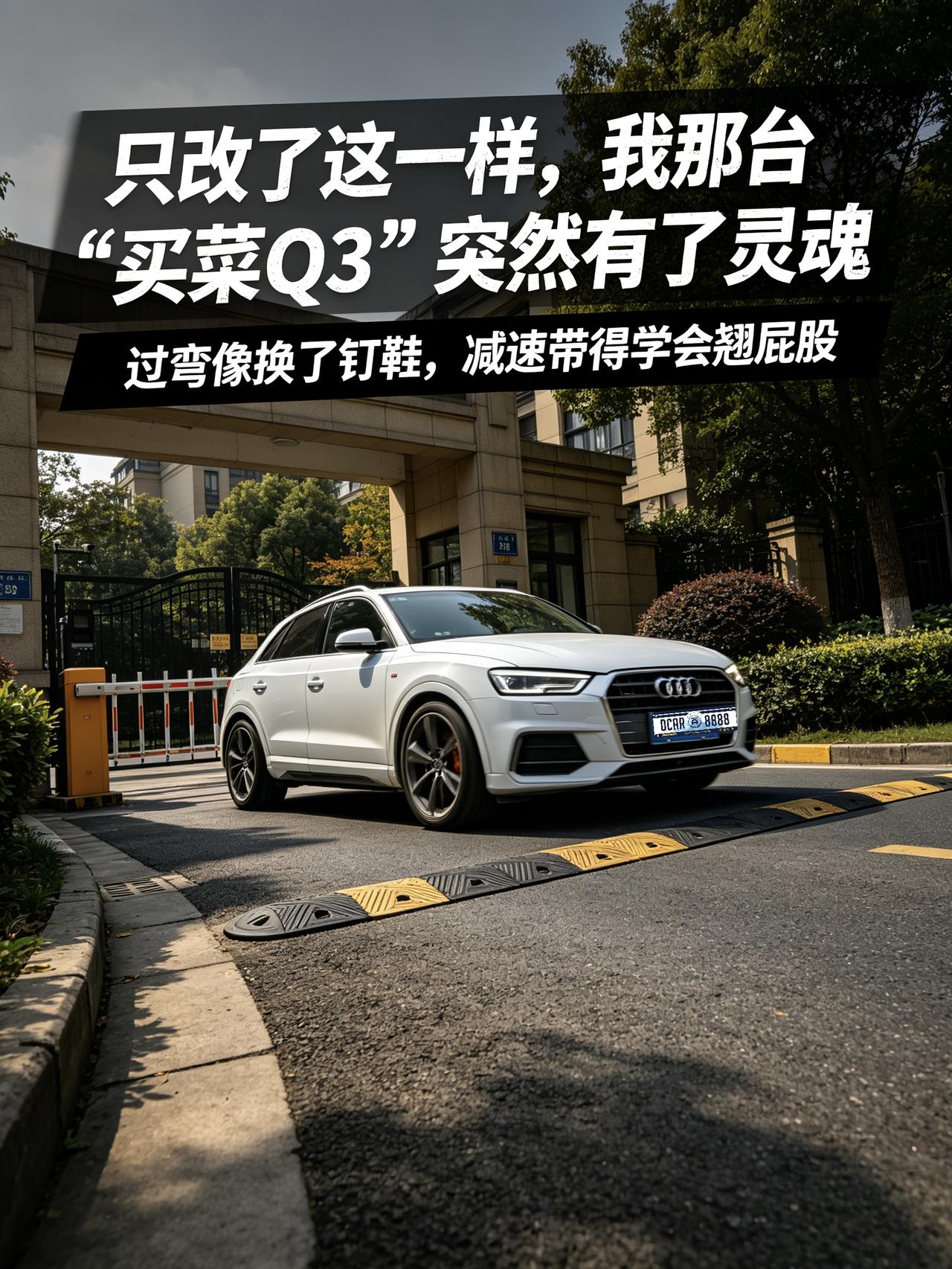 17年白色Q3，原厂底盘高得像台跨界旅行车。每次过匝道60码，车身侧倾能把副驾的