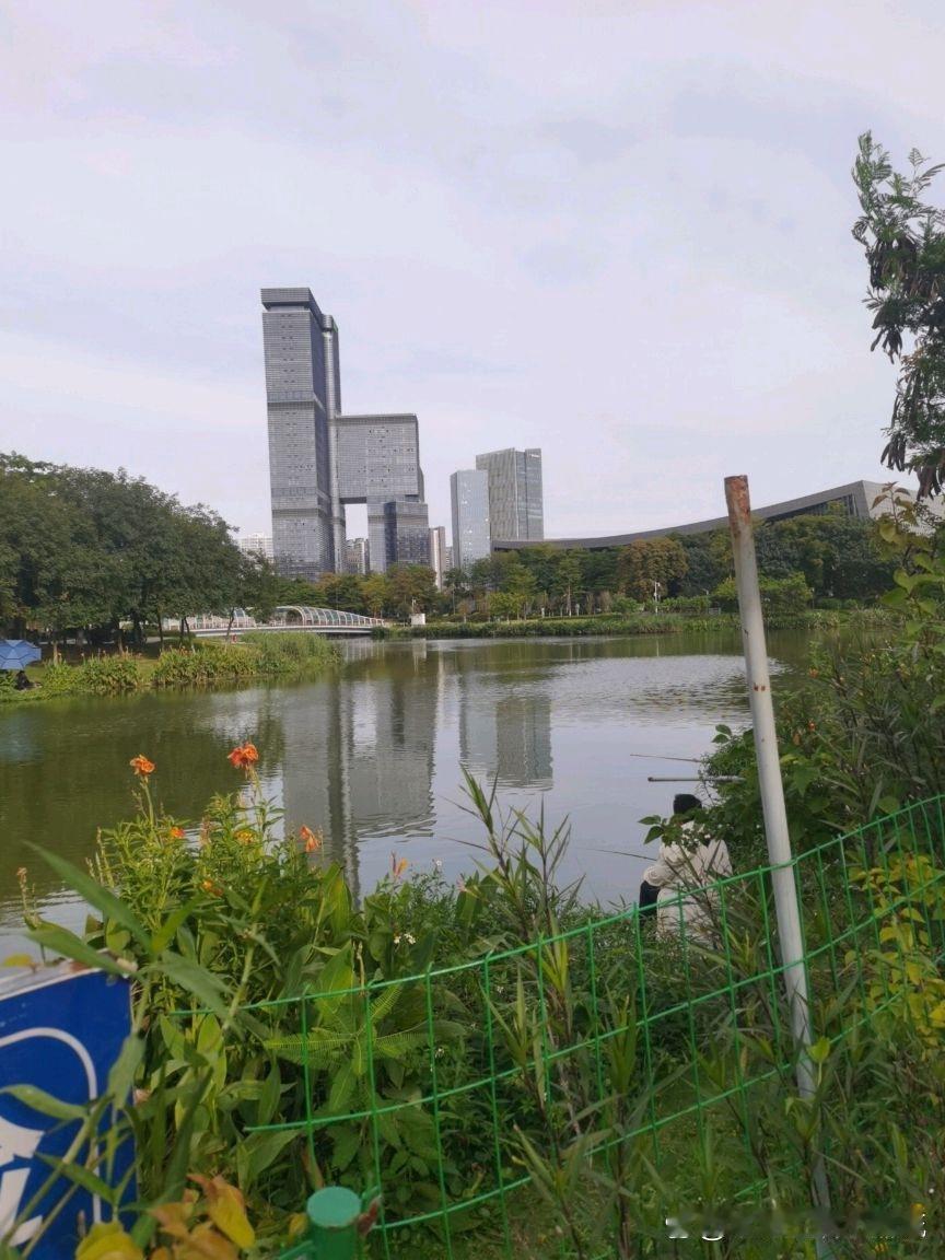 🌿春日漫游指南｜凤凰湖碧道终点私藏路线

春意正浓的周末，终于打卡了这座藏在城