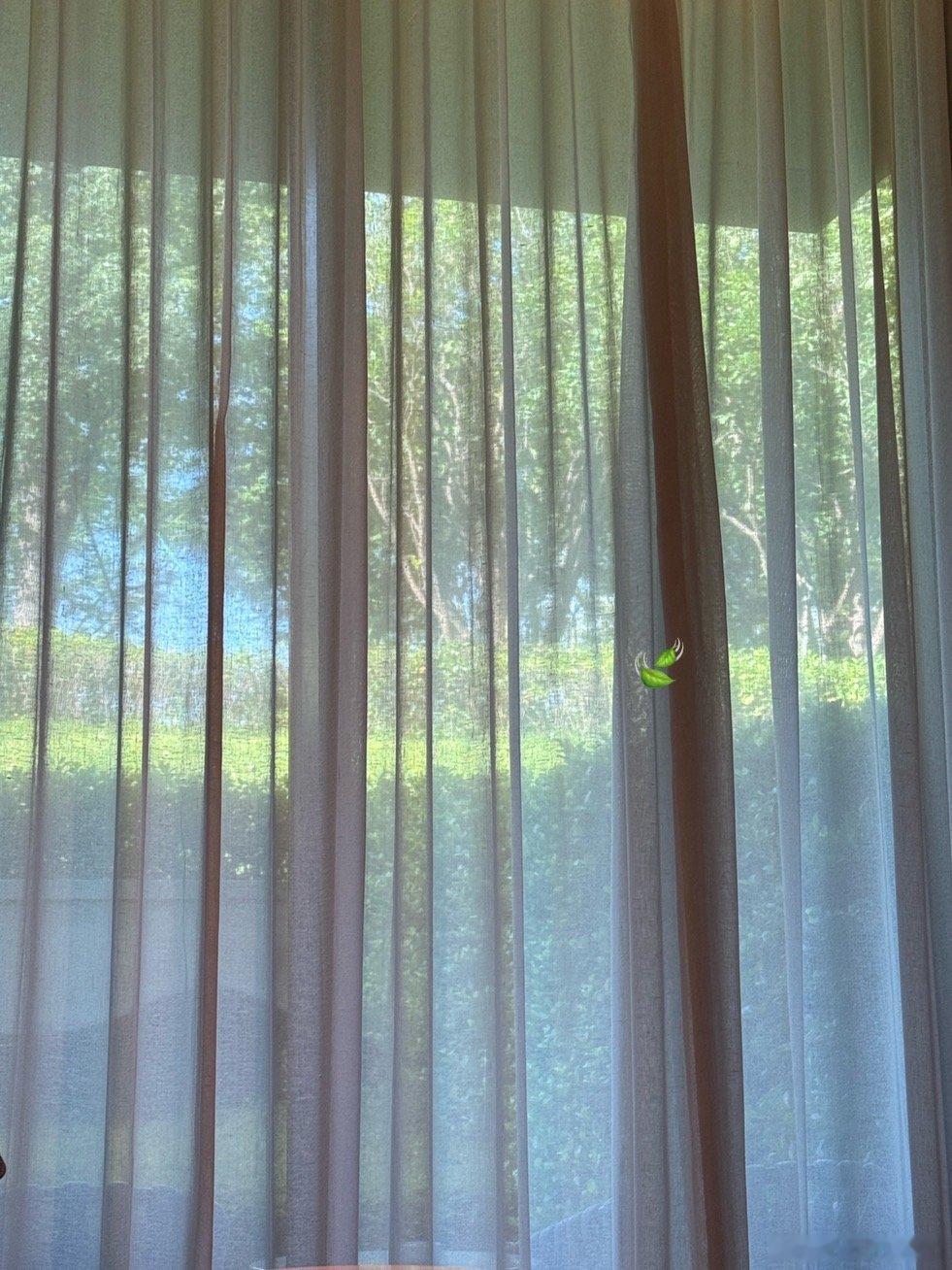 一遍一遍爱我选择的家人🩵 