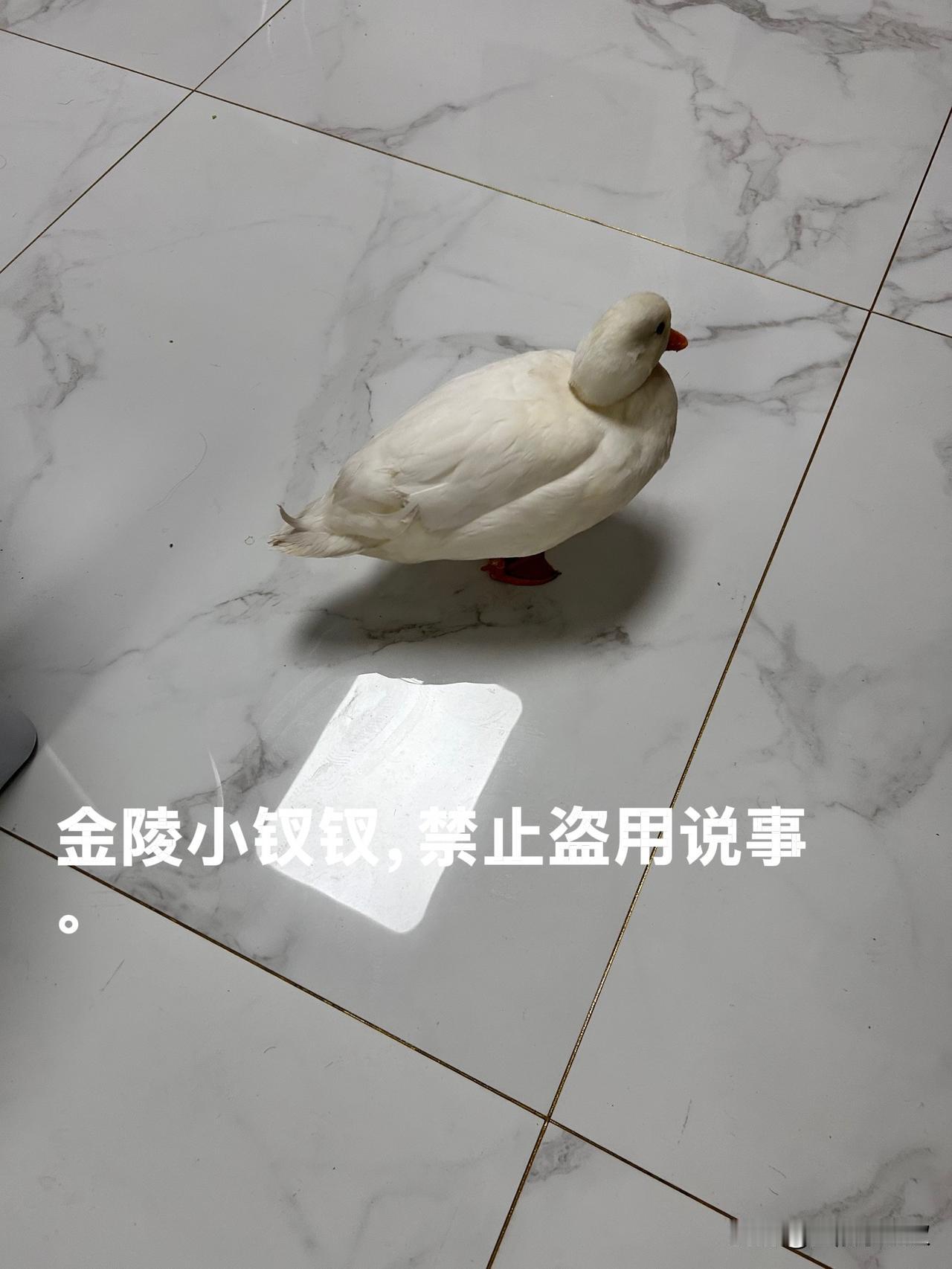 让我说啥好呢？

昨天同学聚会，我们除了分享天伦之乐，更免不了吐槽自己生的那货。