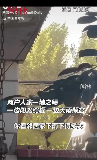 “解释不清了！”近日，河北沧州一男子见屋外阳光正好，刚走到院里，却瞥见紧邻的邻居