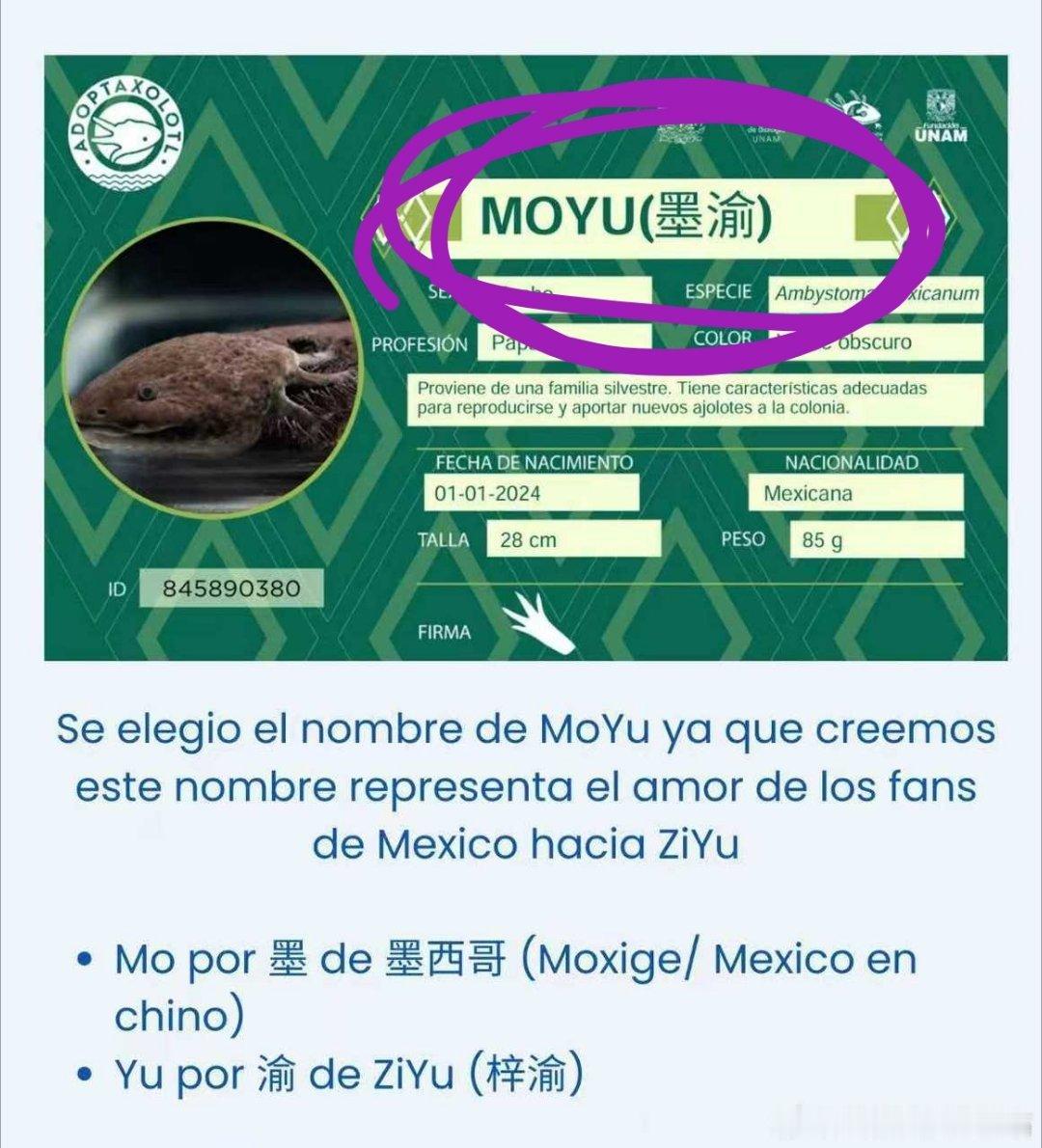 ？？？？？？ 
