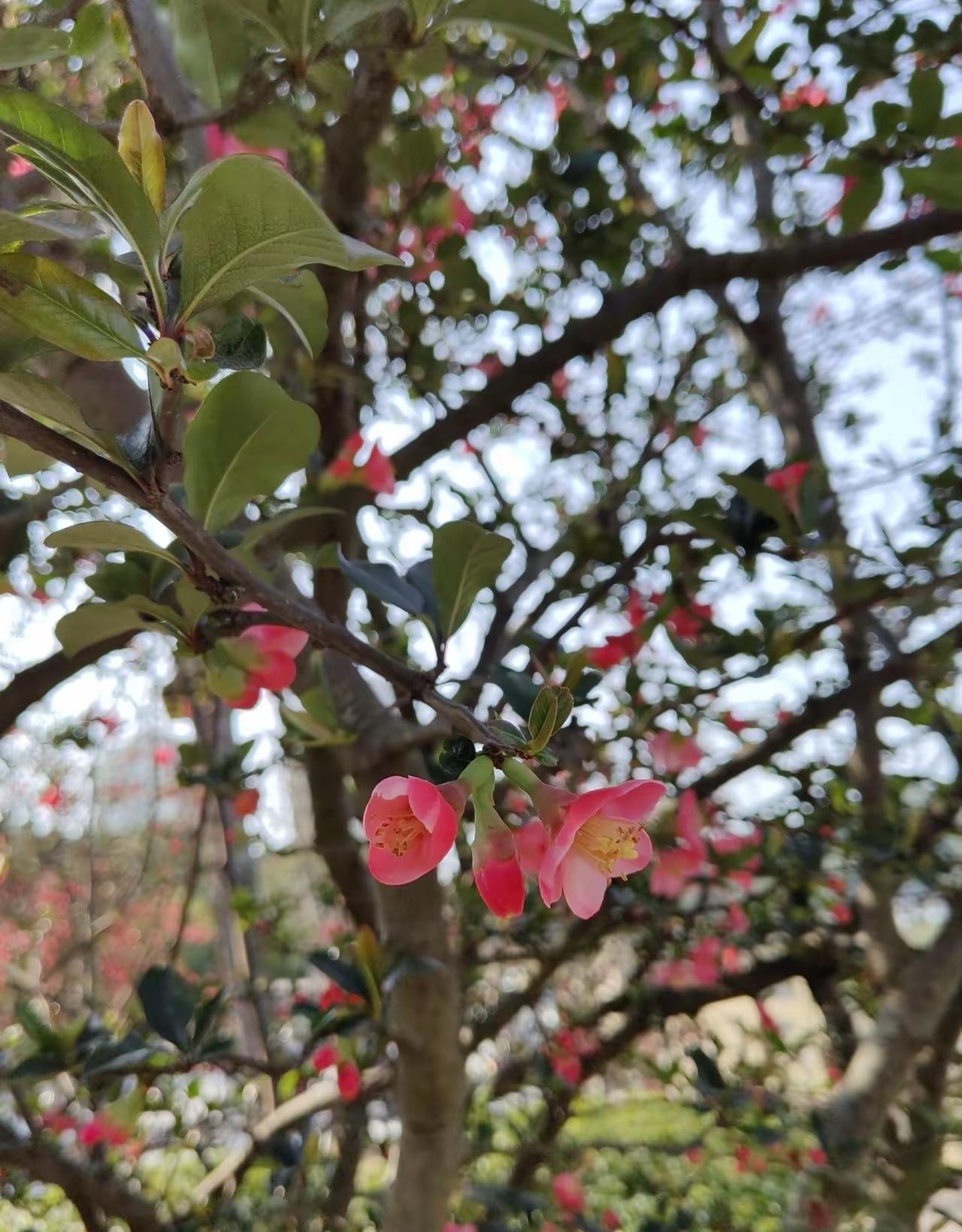 一个高中老师对学生说的话让我感触很深。她说：伊朗的战争和我们每个人都息息相关，伊