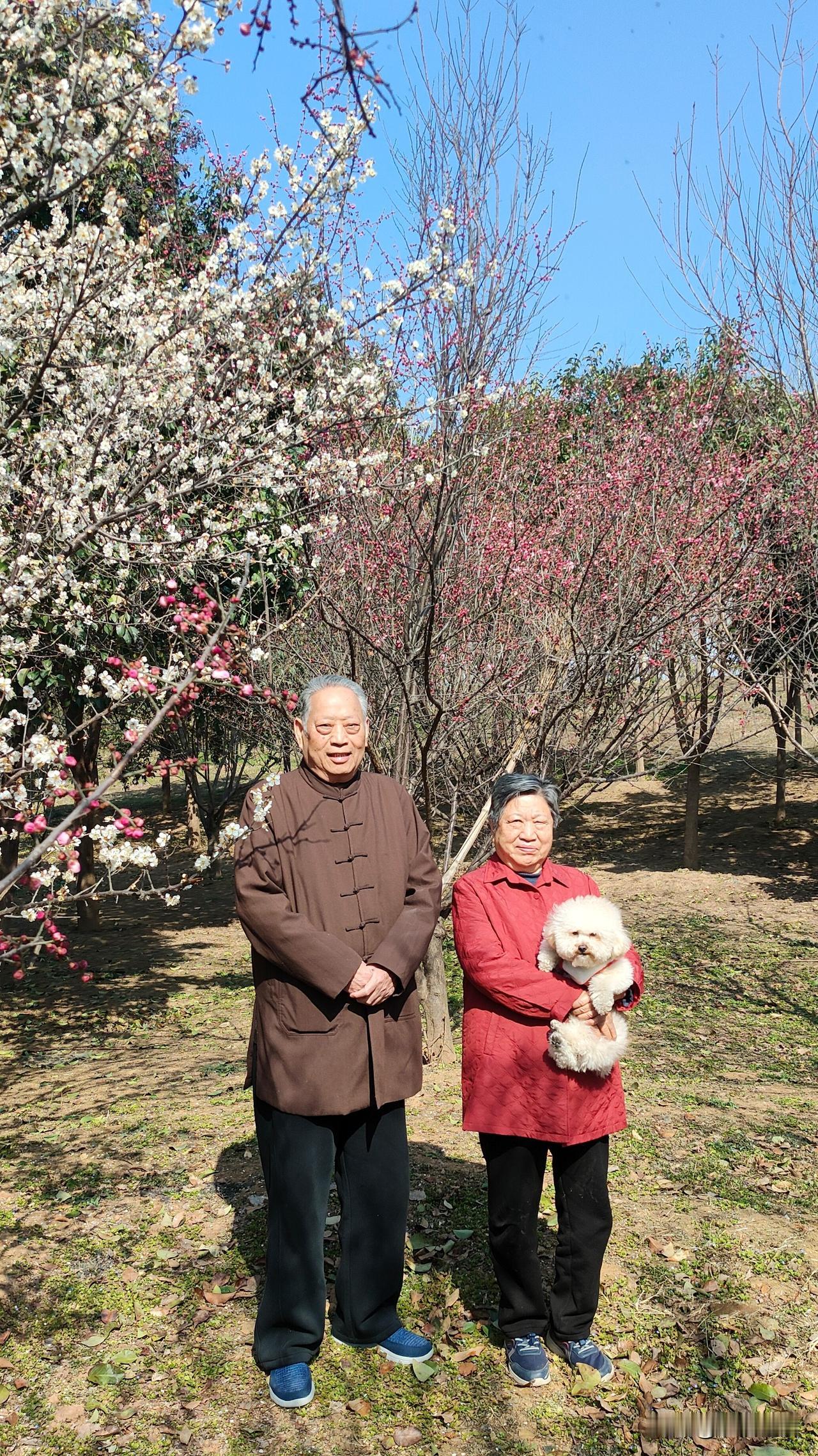 周口沙颍河畔赏梅记
春明景和万物发
沙颍河畔赏梅花
夫妻相携寻浪漫
后边跟个小泥