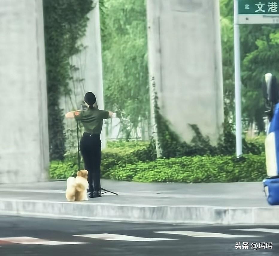 你看看这时代，多好啊，一人一狗一手机就可以赚得盆满钵满。