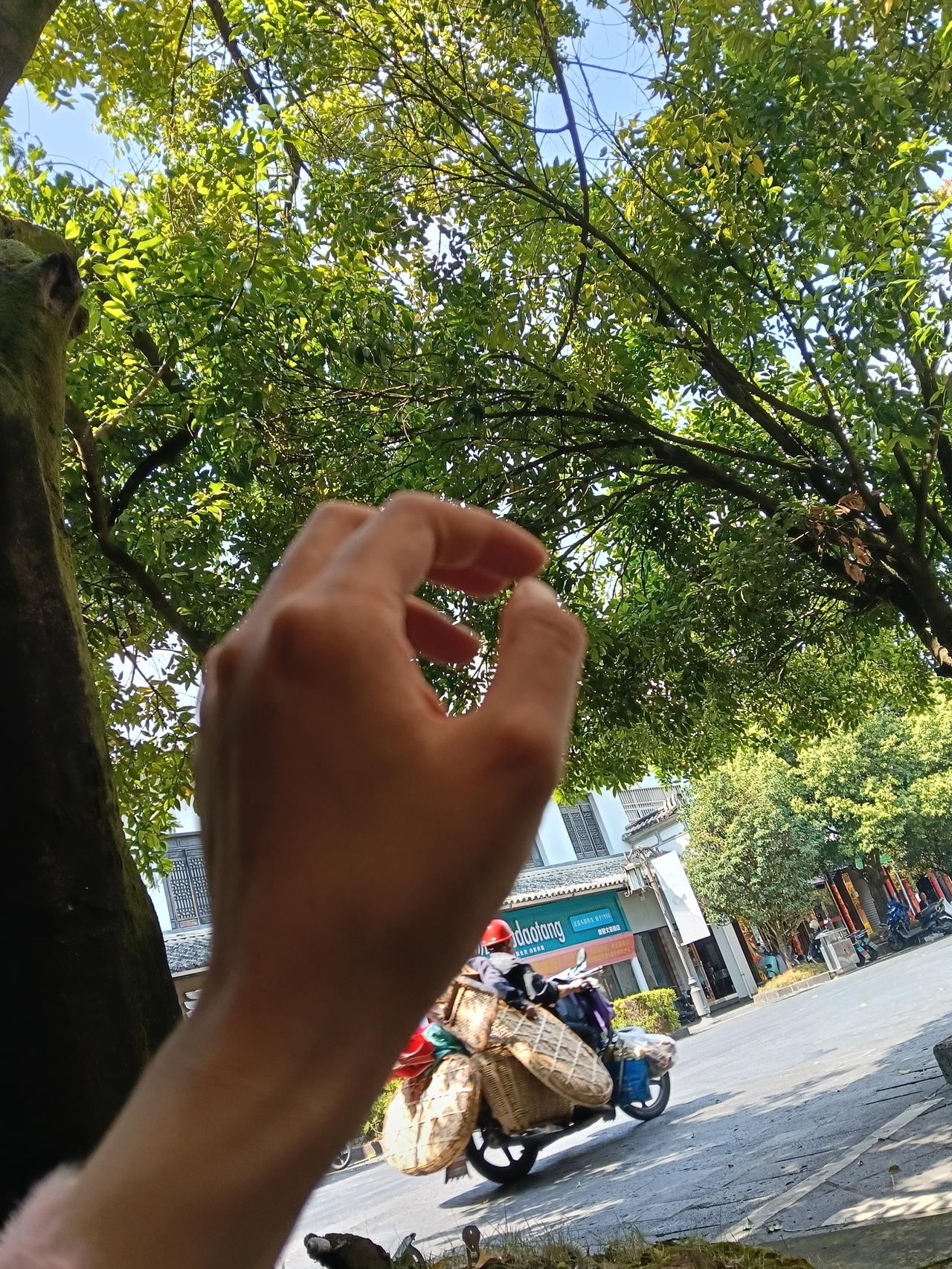 哥哥姐姐们，你们单独和公公待在一起是什么样的体验？婆婆去喂鸡了，老公去喂兔了，我