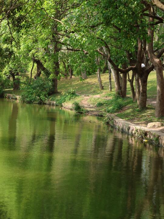 清明踏青.🌳｜被17km的紫荆绿道硬控2小时
