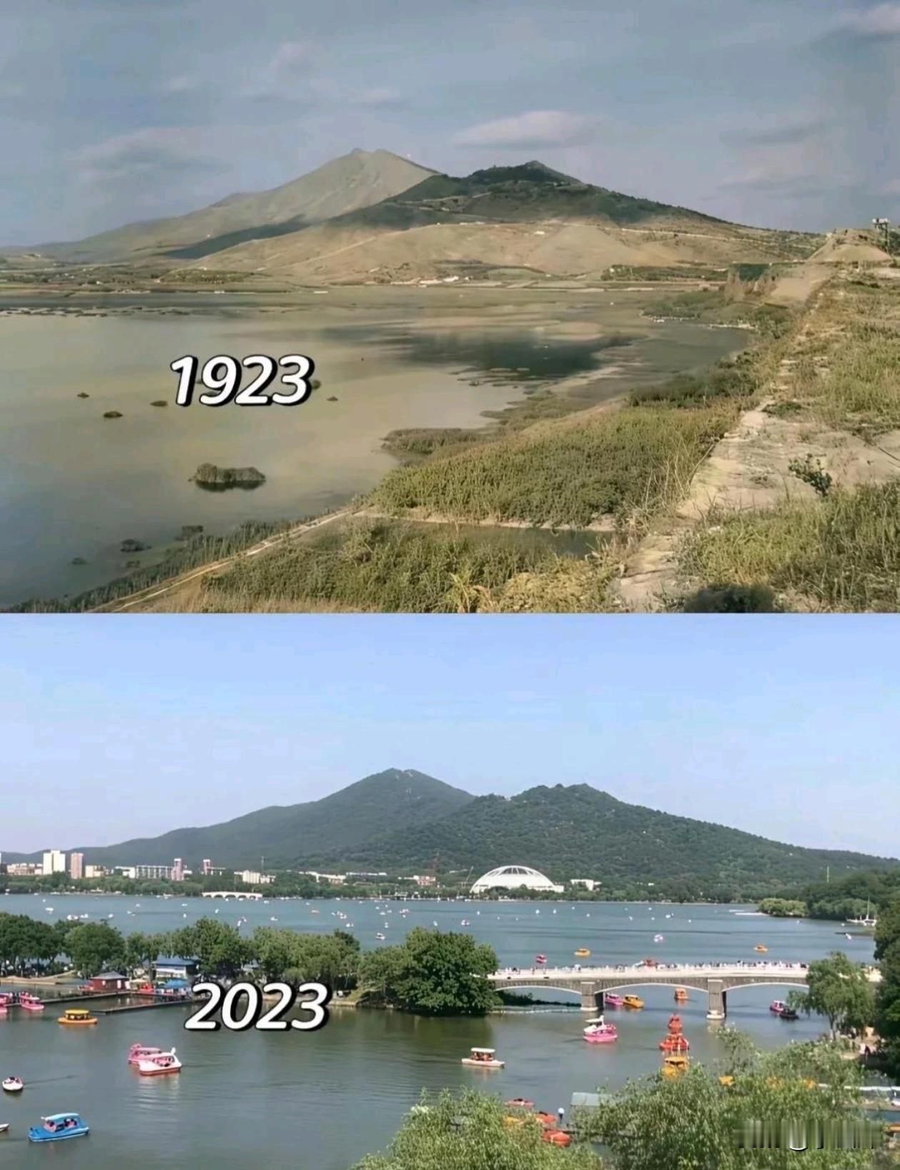 为什么以前的山上都是光秃秃的，没有什么植被？