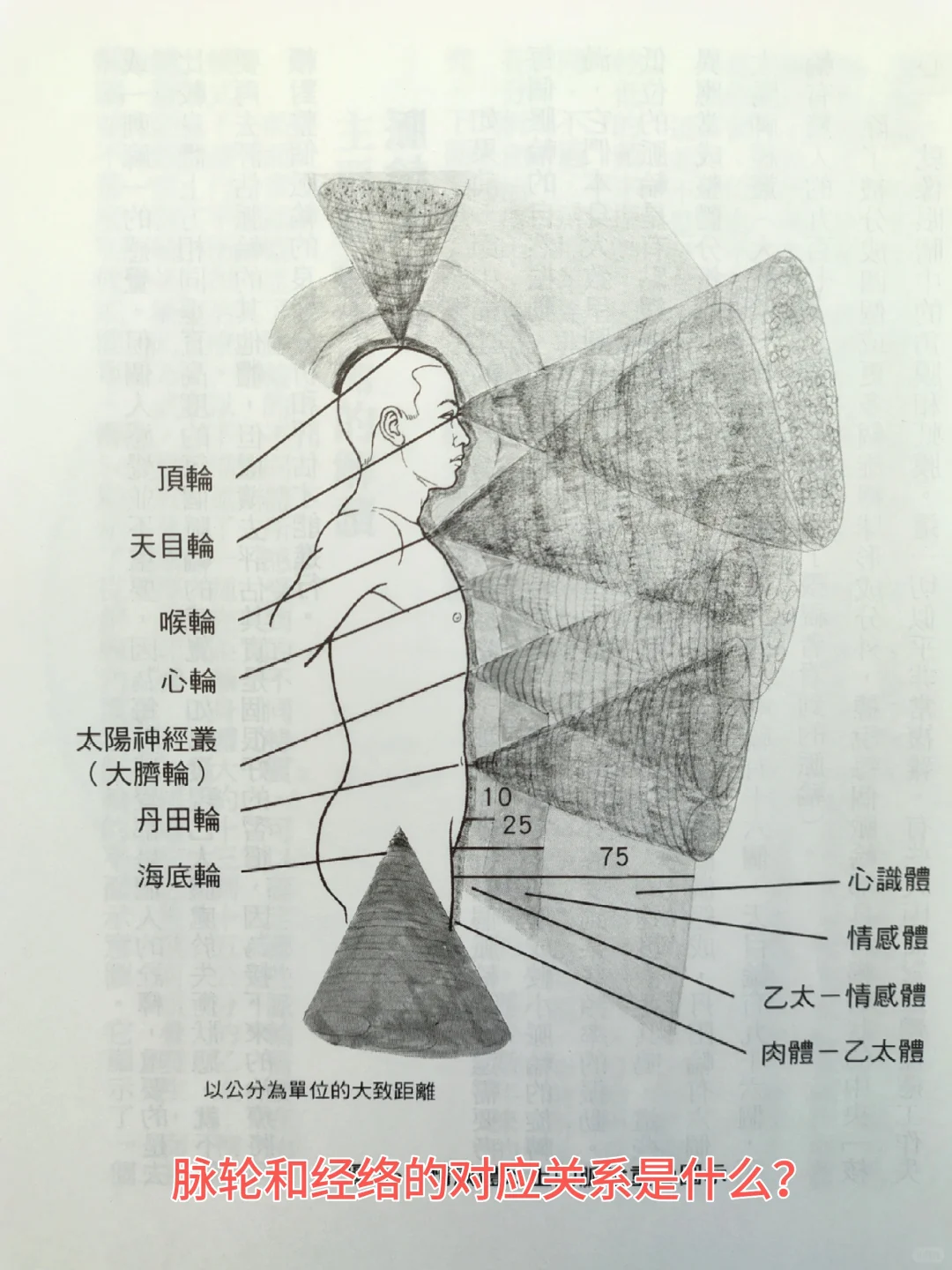 脉轮和经络的对应关系是什么？