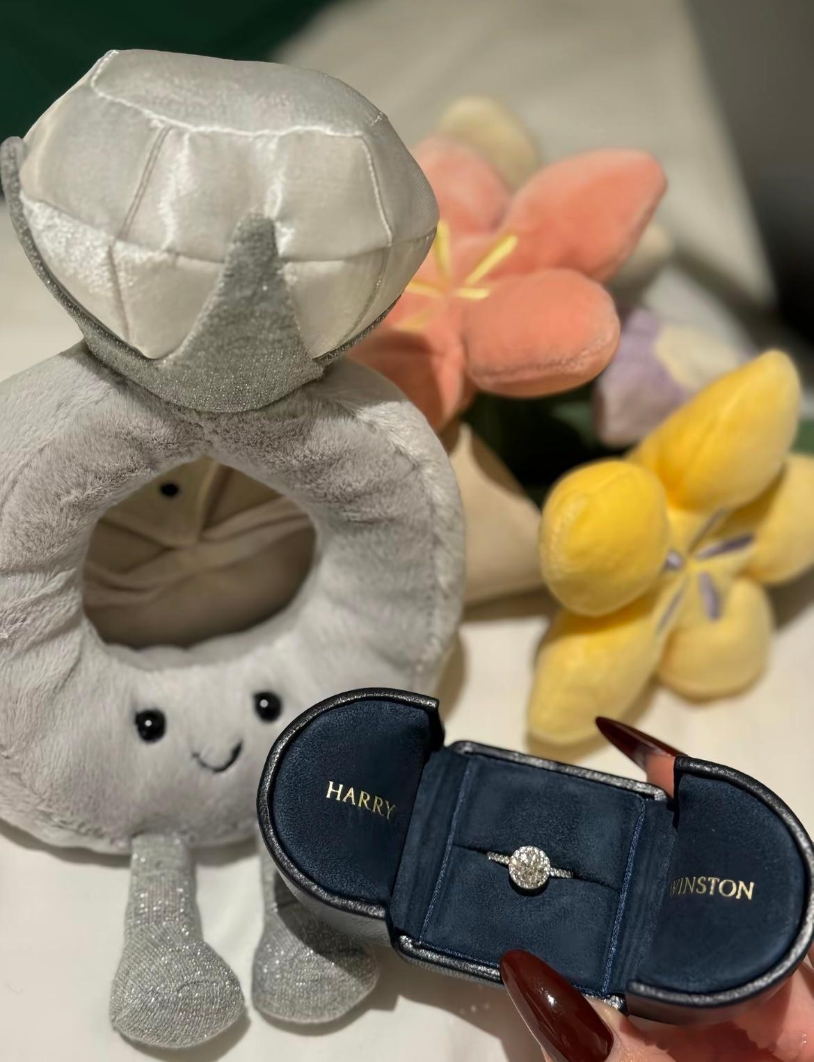 是的 男朋友在富士山前向我求婚了 