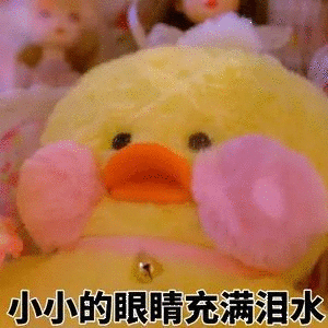 杨子身材 救命🆘求放过…这个节目在整什么幺蛾子…辣椒水场厂吗？看的眼睛痛[苦涩