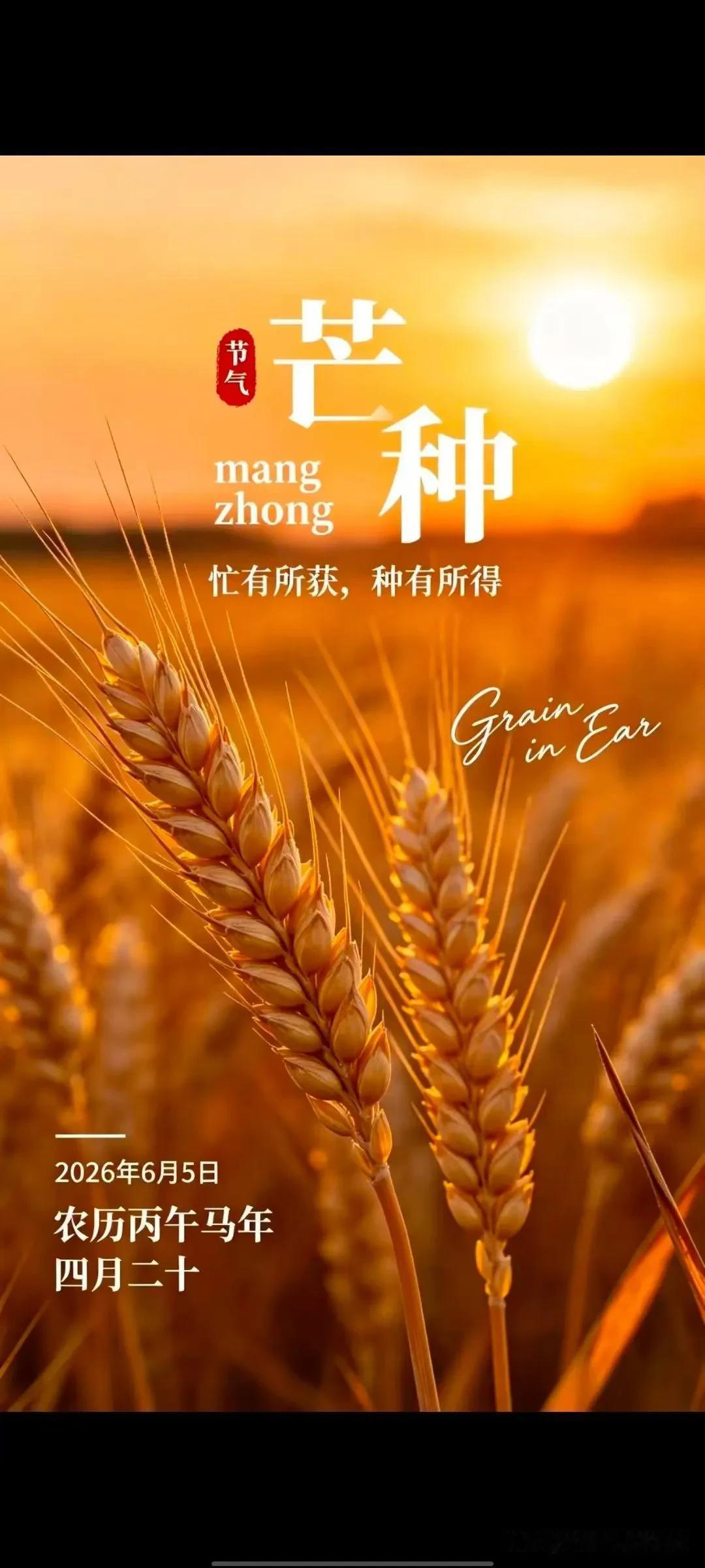 “汗滴禾下土” 的辛勤耕耘，也有 “清风送稻香” 的累累硕果， “耕” 出美好灿