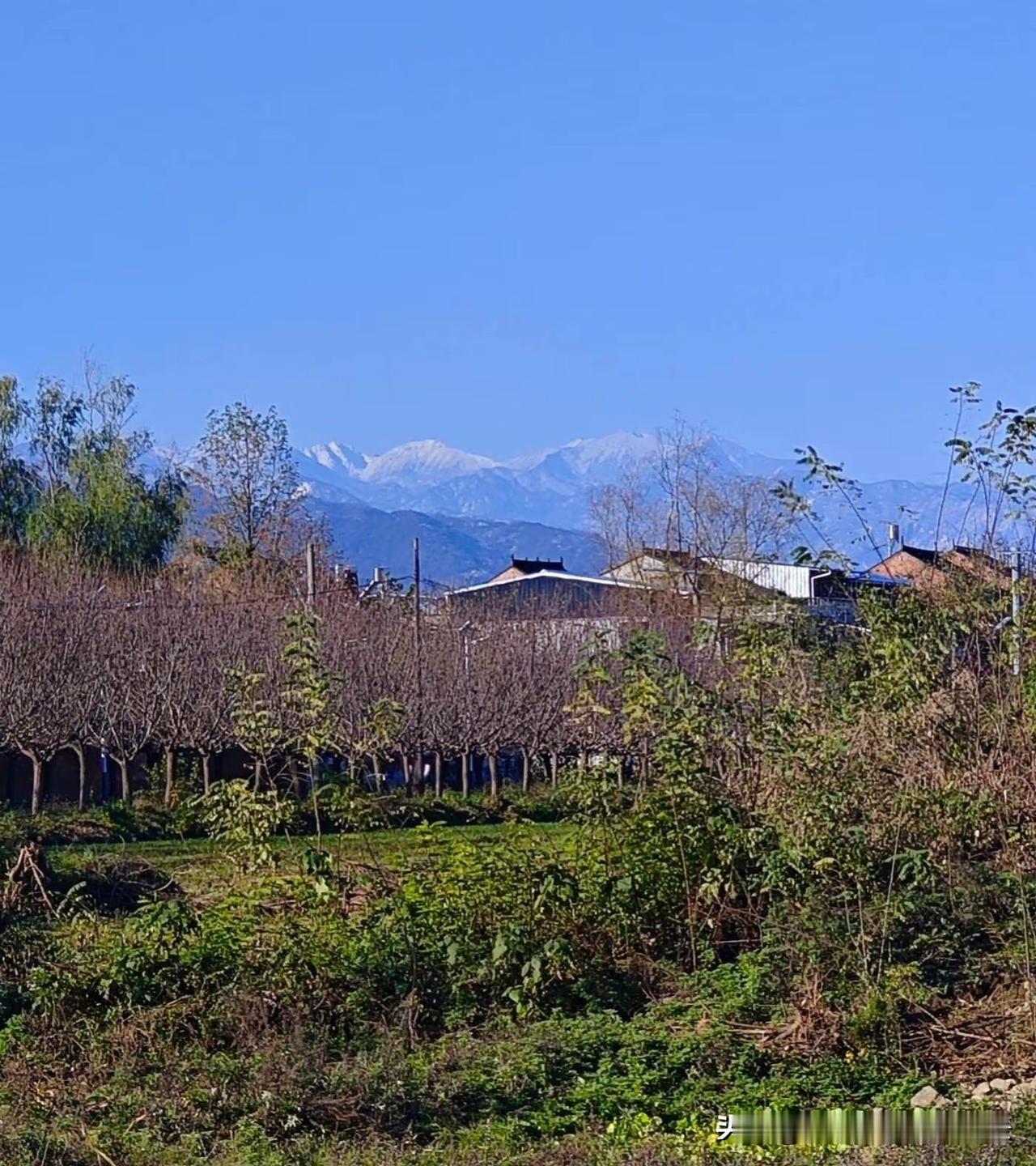 在西安邂逅一场酣畅淋漓的大雪并不容易，一年之中也就那么一两次机会。

尤其在市区