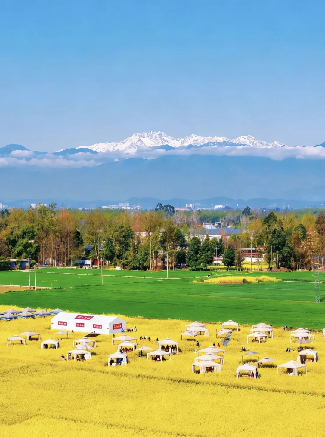 3月4成都的天气杀疯了！实拍雪山火锅油菜花