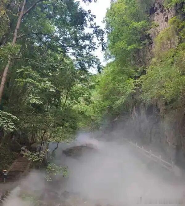 栾川龙峪湾，伏牛山原生态避暑秘境。原始密林隔绝酷暑，潭瀑散落山间，树梢栈道穿行林