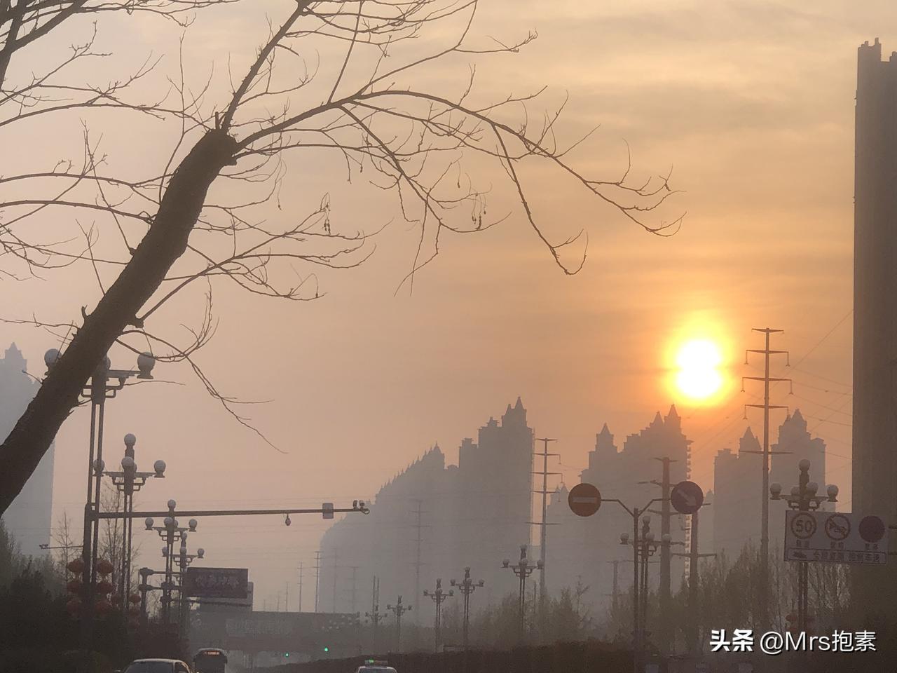 全国两座同样特色的城：苏州与洛阳

春节前去苏州旅游的时候，遇到一位特别健谈的的