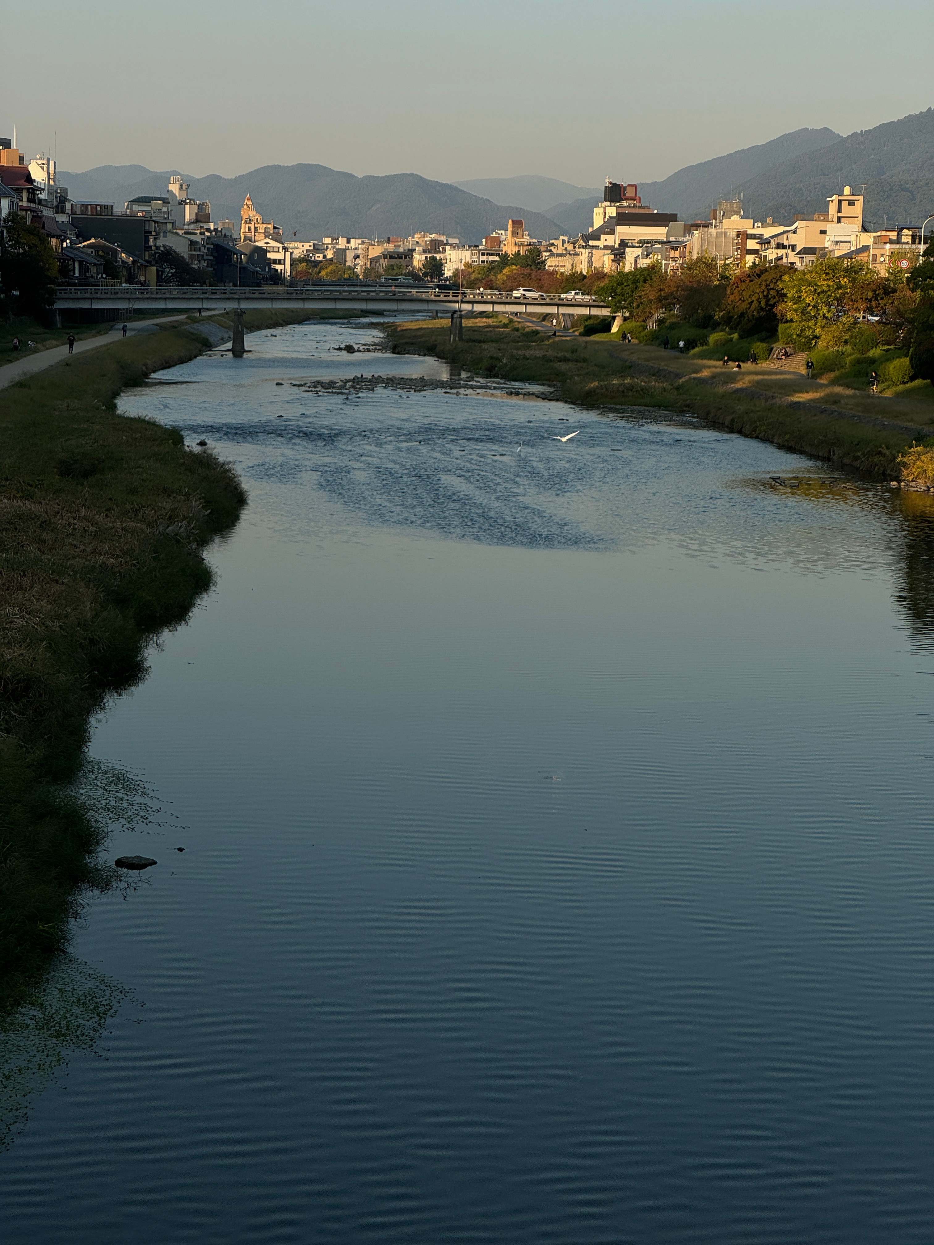 明年想搬到京都，住在鸭川边…（认真考虑中）  ​​​