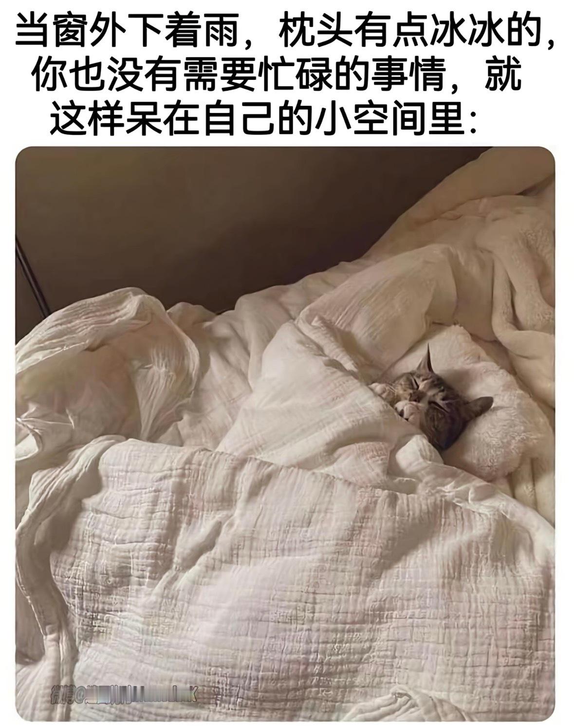好久没发的莫名其妙图片合集！那个那个大家当表情包/头像/背景图都随意哈！如有侵权