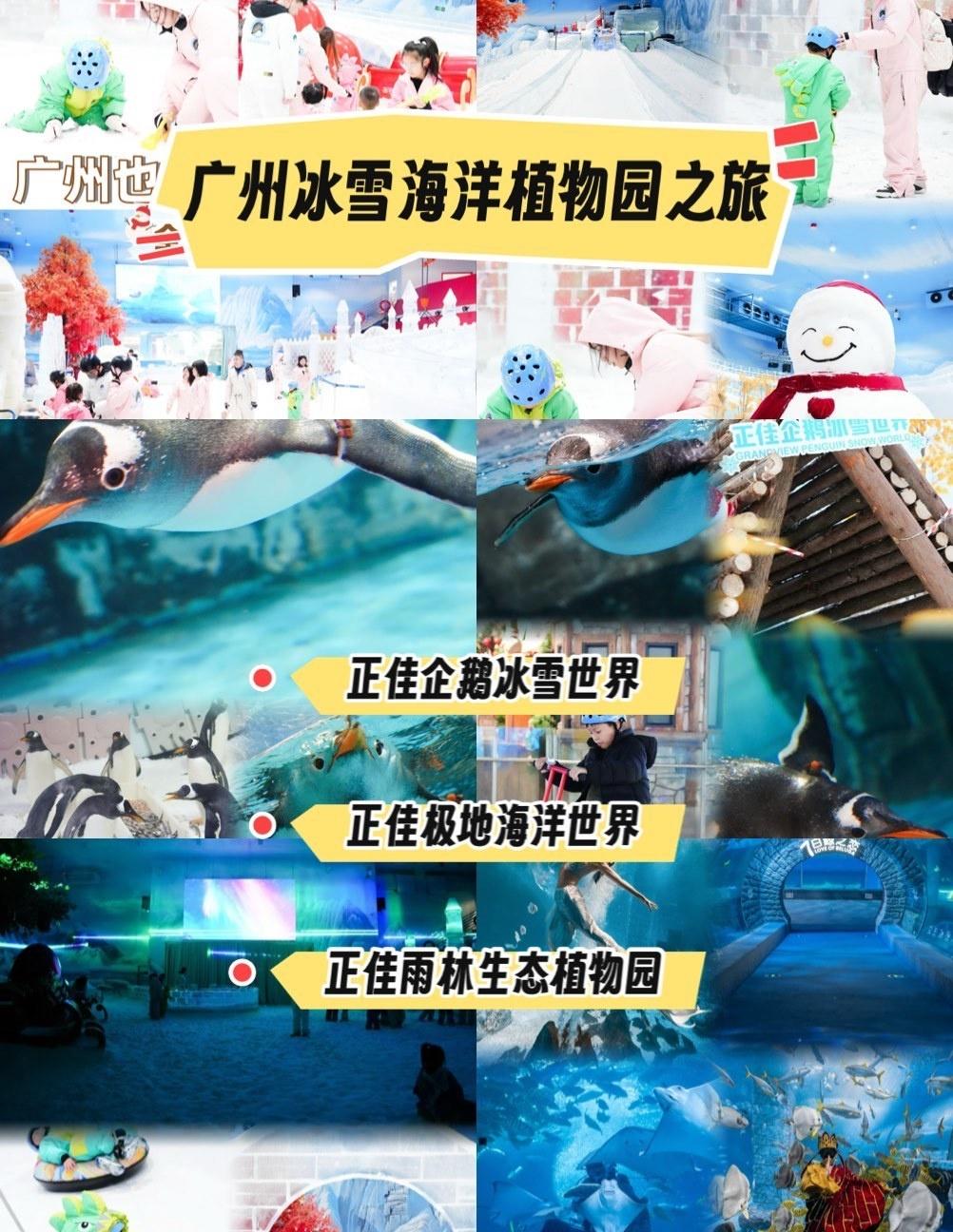 🤯广州也有哈尔滨平替？！全家都玩疯了！

📍广州 
谁说看雪一定要去大东北？