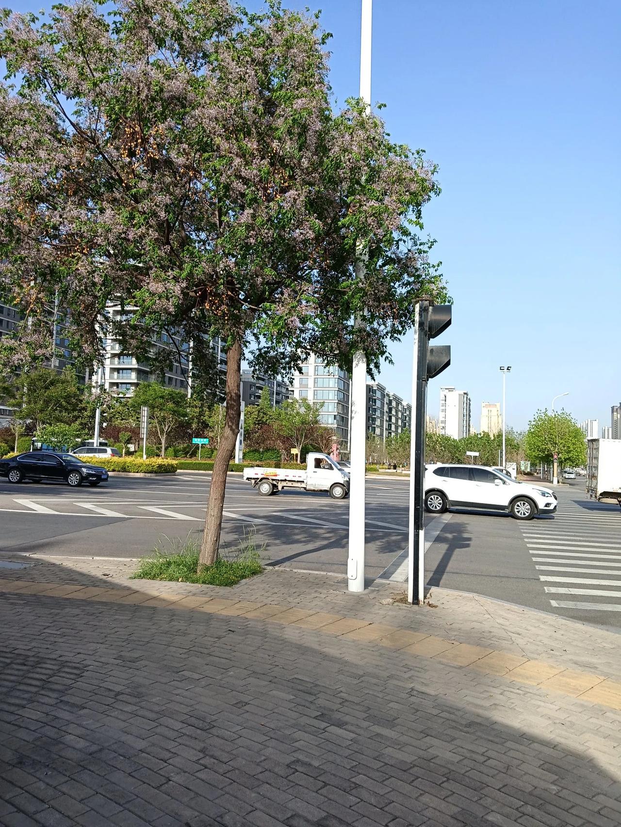 记录生活中美景分享商丘