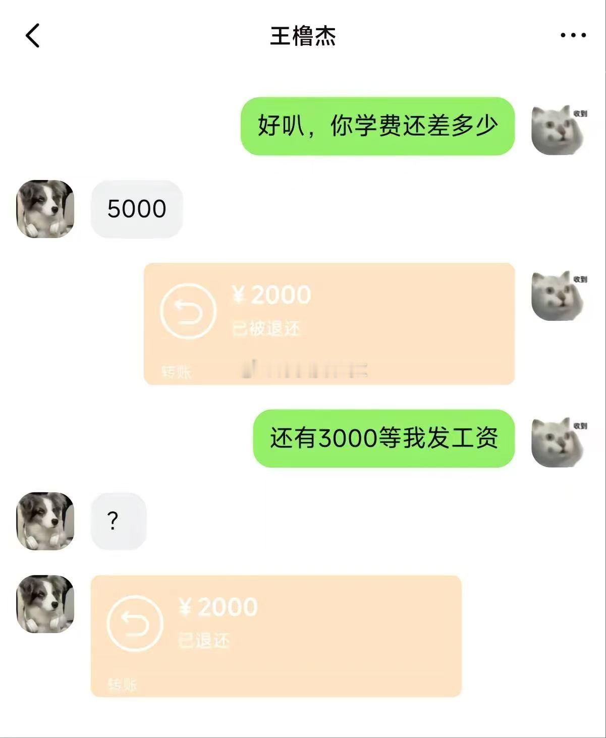我真的不行了...你们写小说的能不能落地一点 