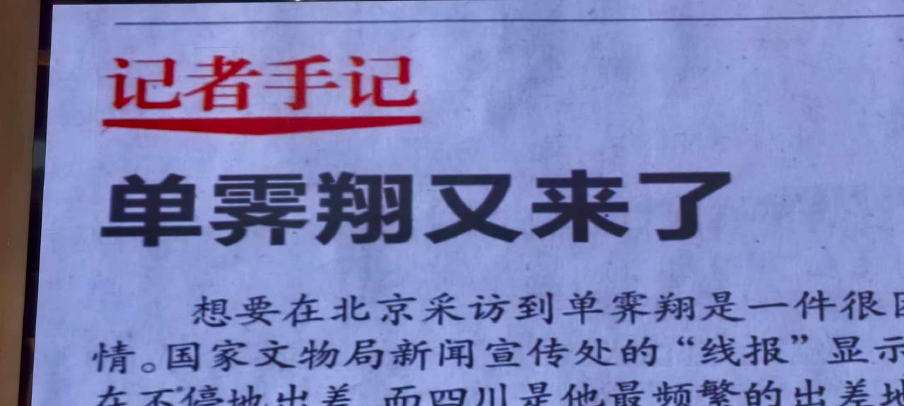 单霁翔又来了。他的经历证明：不会讲故事的博物馆馆长当不了好厨子。单馆长原来是厨师