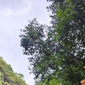 🌥 人生是一场修行，宽恕他人，是解开自我枷锁的钥匙；淡泊名利，是滋养心灵的清泉