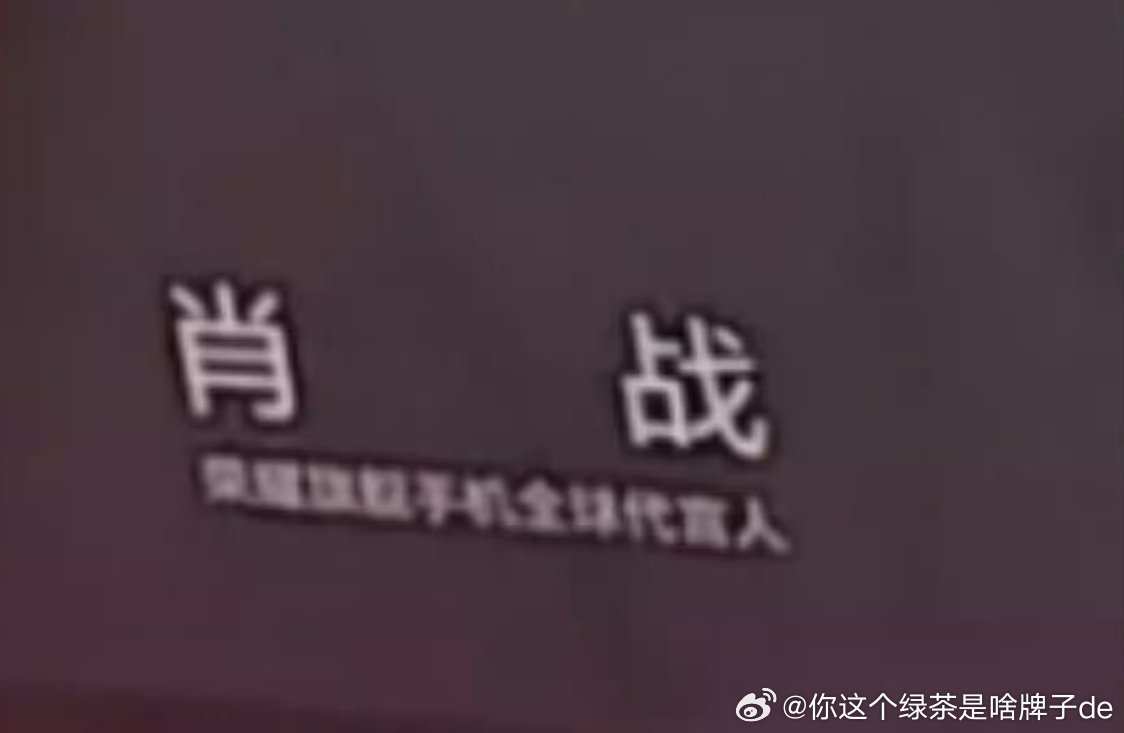 荣耀旗舰手机全球代言人[爱慕] ​​​