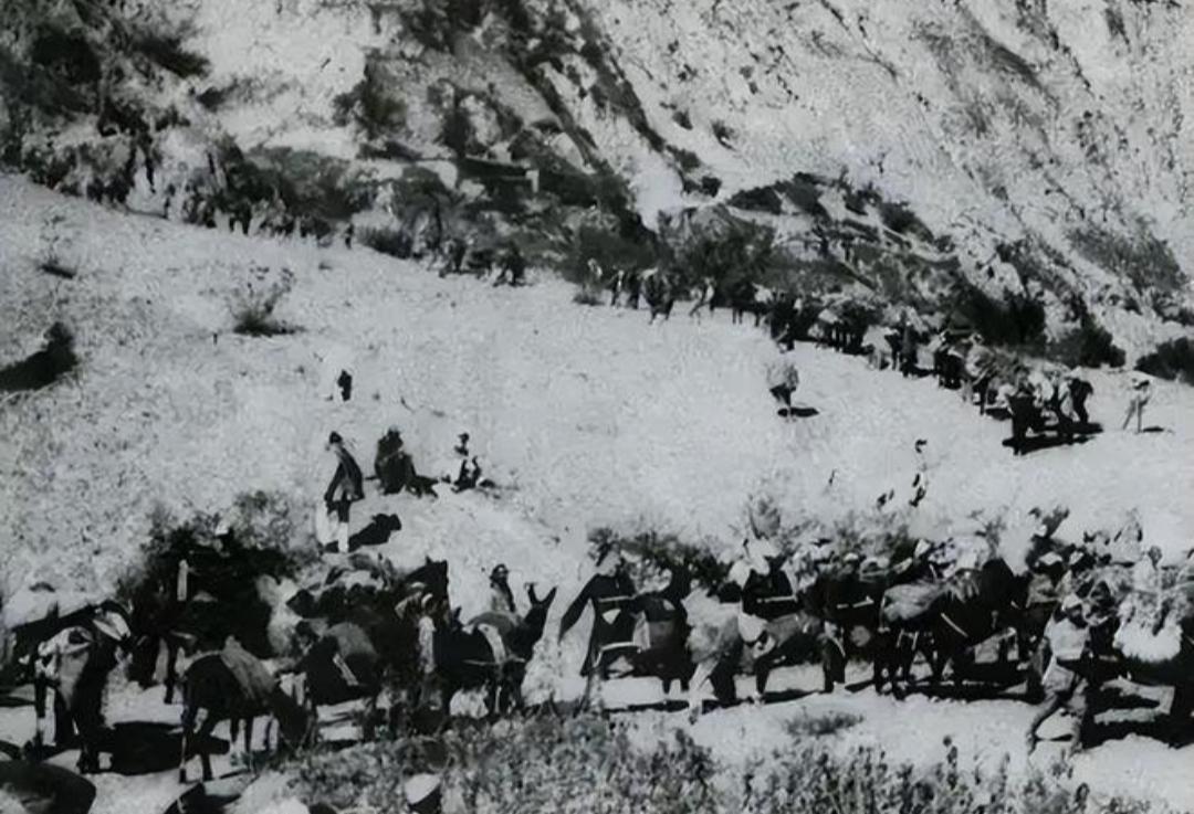 1937年春，祁连山的寒风卷着雪粒，刮得人睁不开眼。西路军副总指挥王树声往脸上抹