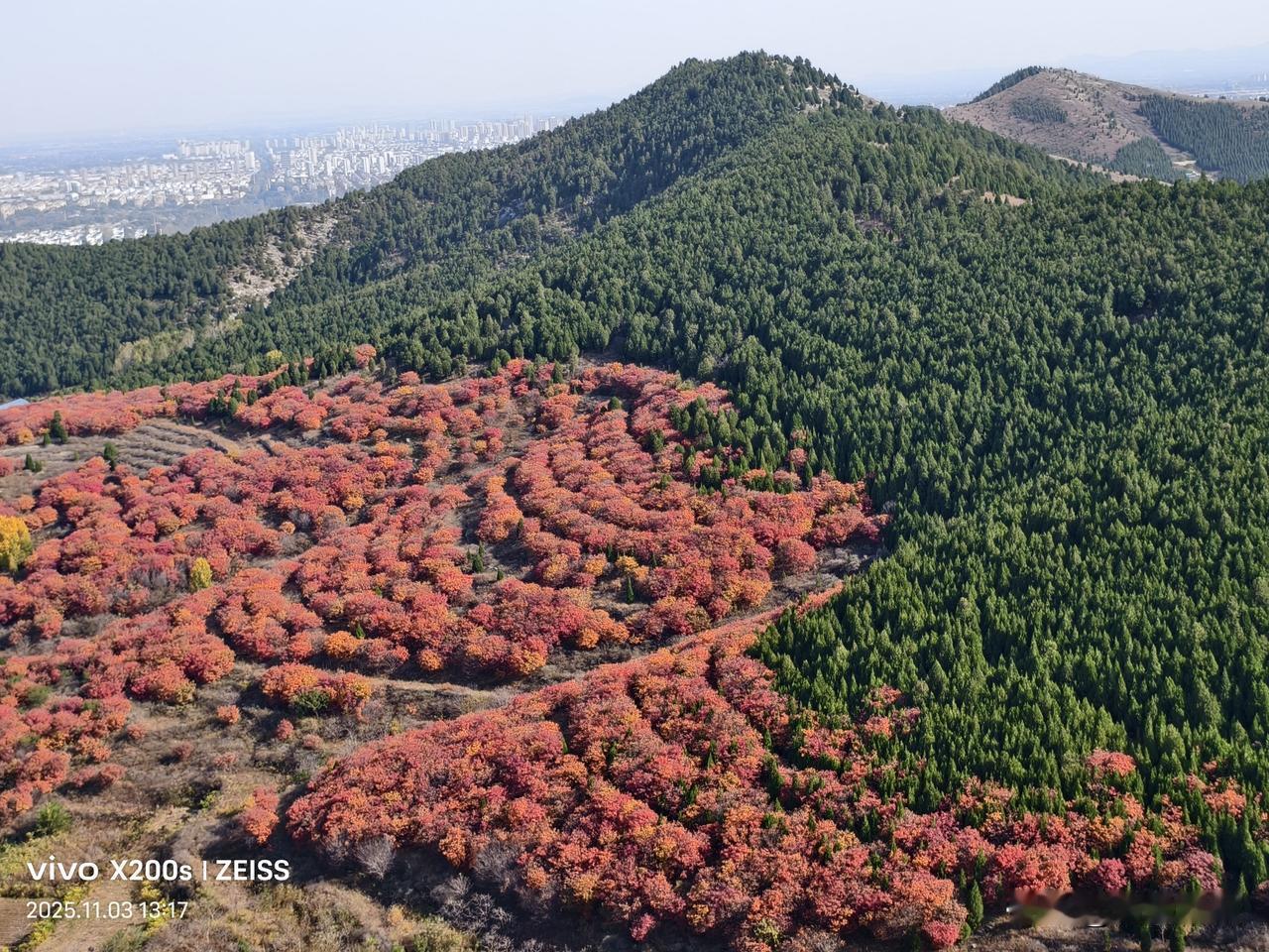 碧云天，黄叶地，秋色宜人。