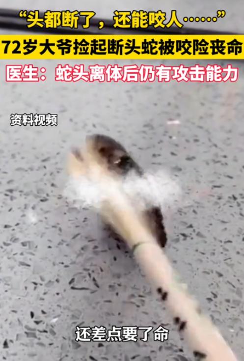 太过惊险！浙江诸暨，72 岁大爷钓鱼时偶遇剧毒眼镜蛇，他拿出铲子将蛇斩杀，蛇头彻