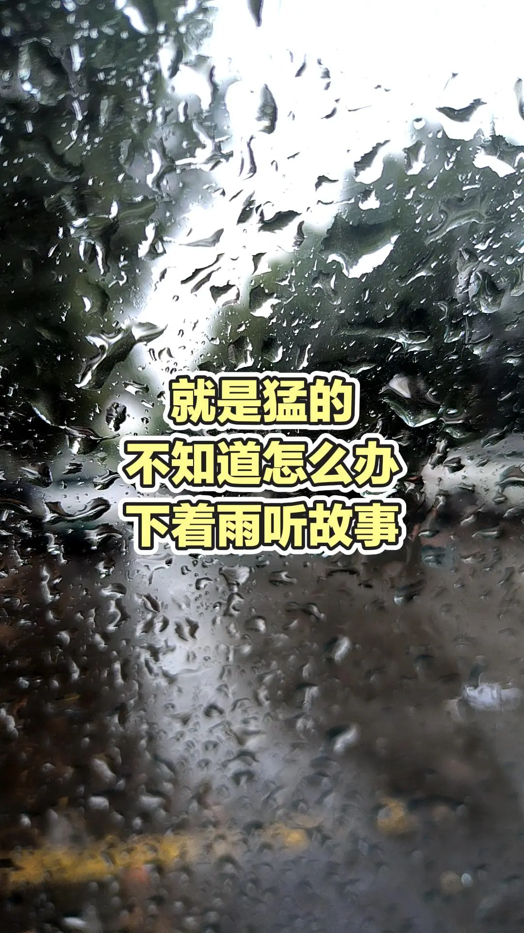 每日分享