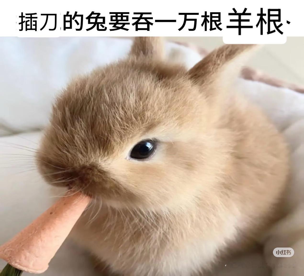 于是就这样和解啦[努力] ​​​